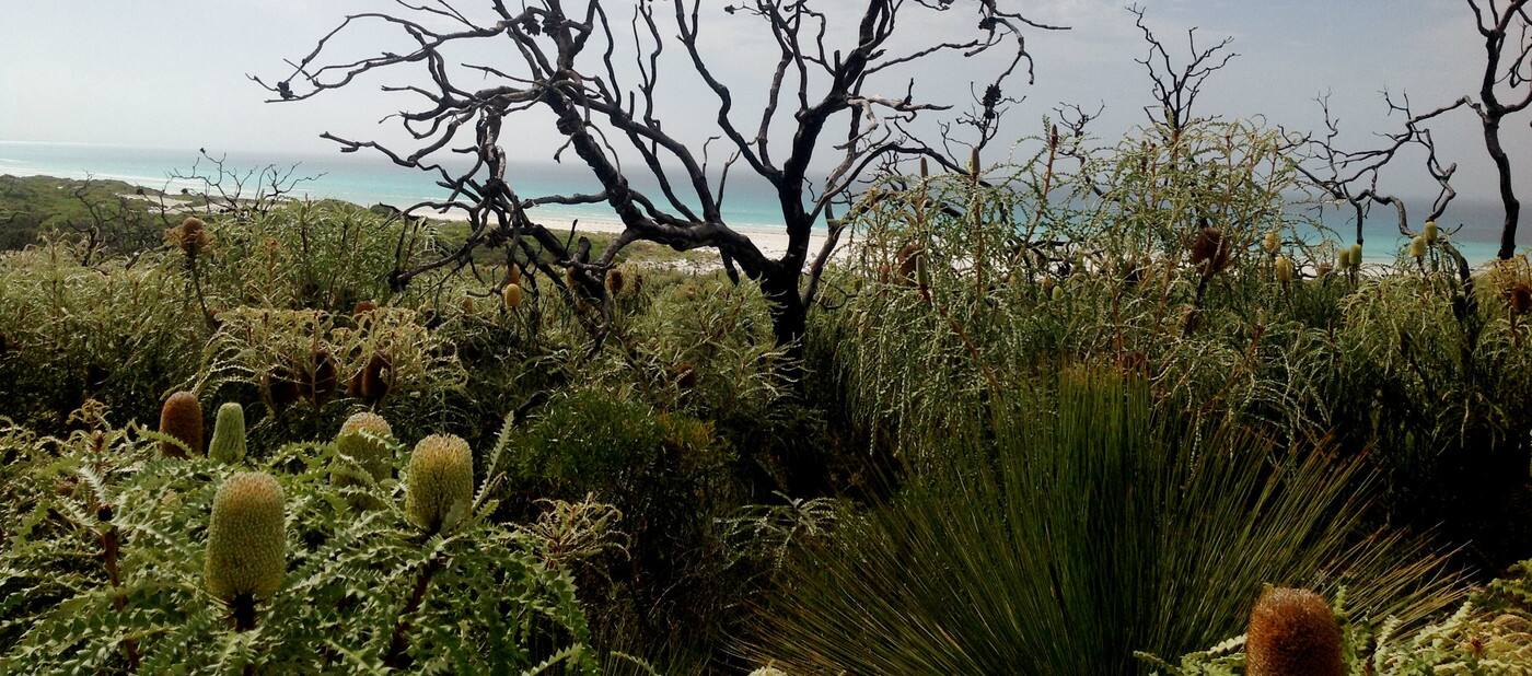 Coastal Earth Creations - Cover photo