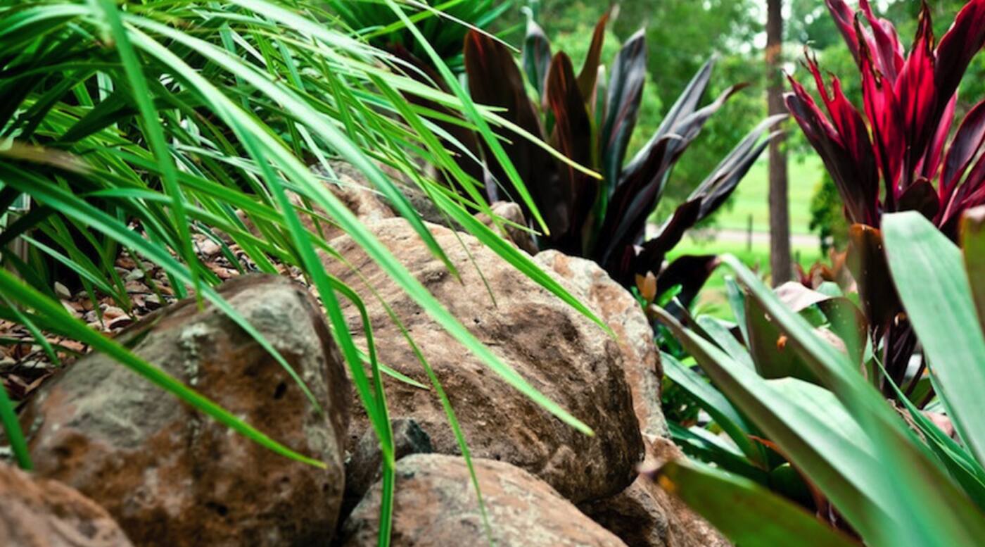 Coastal Landscape Supplies - Cover photo