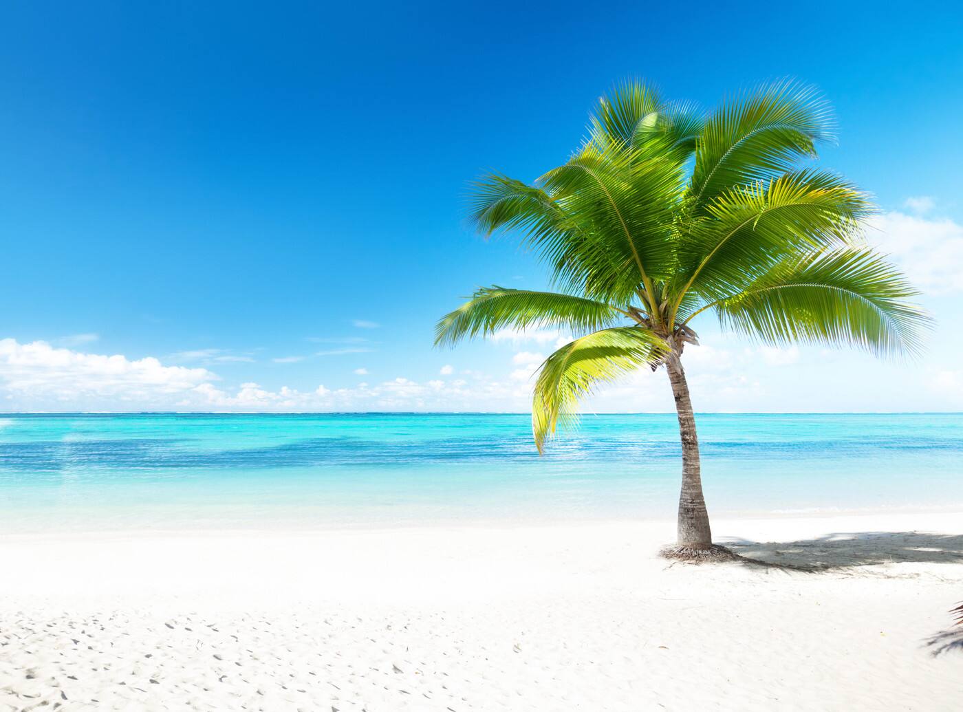 Coastline Holiday Services - Cover photo