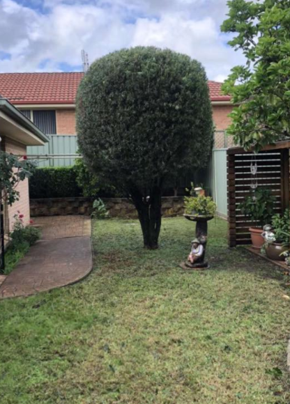 Coast Wide Stump Grinding & Tree Services - Cover photo