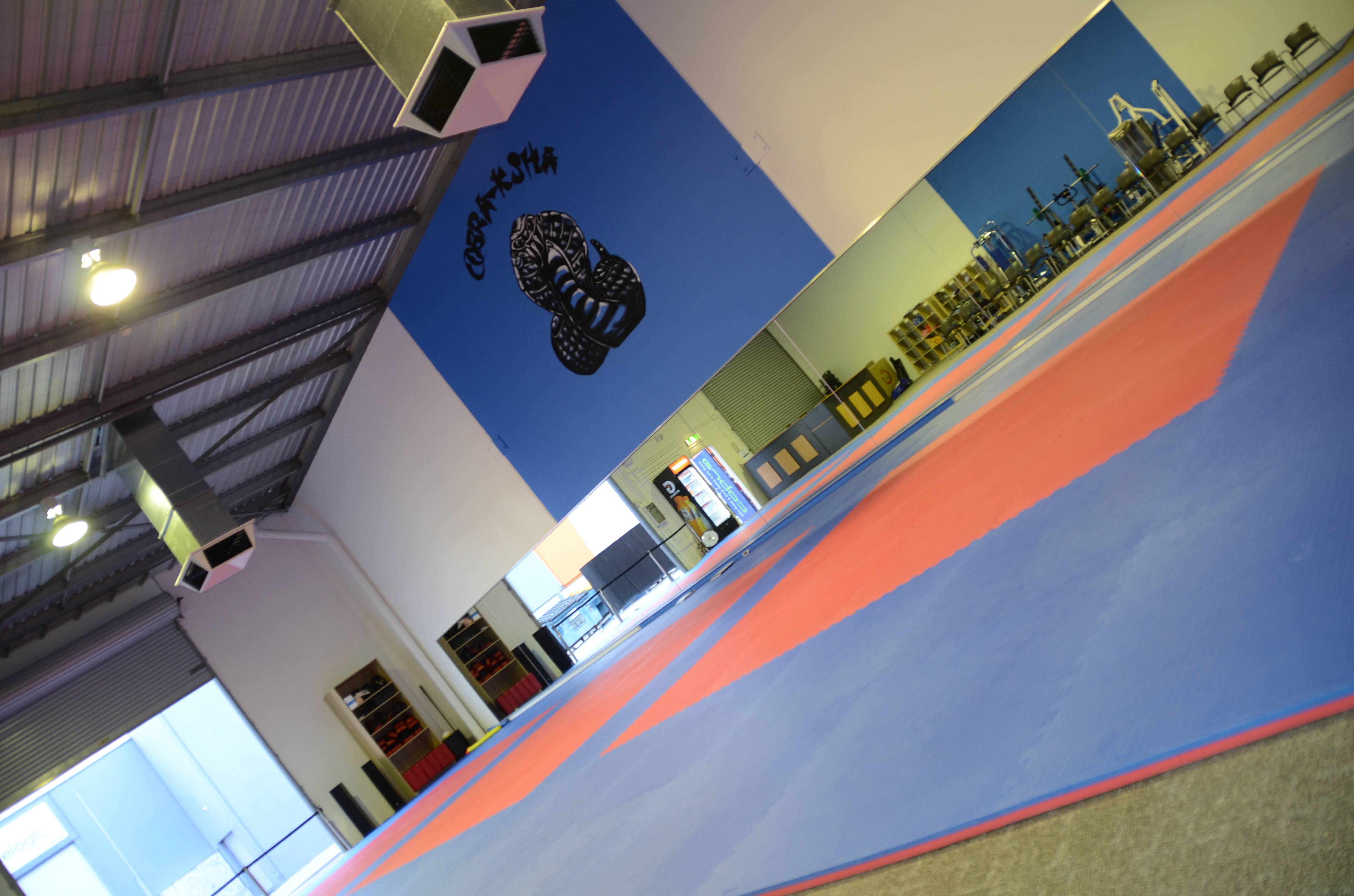 Cobra Martial Arts Morley - Logo