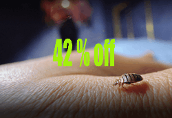 Cockroach Termite Pest Control - Logo