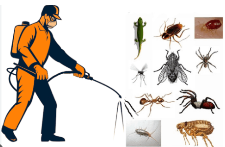 Cockroach Termite Pest Control - Cover photo