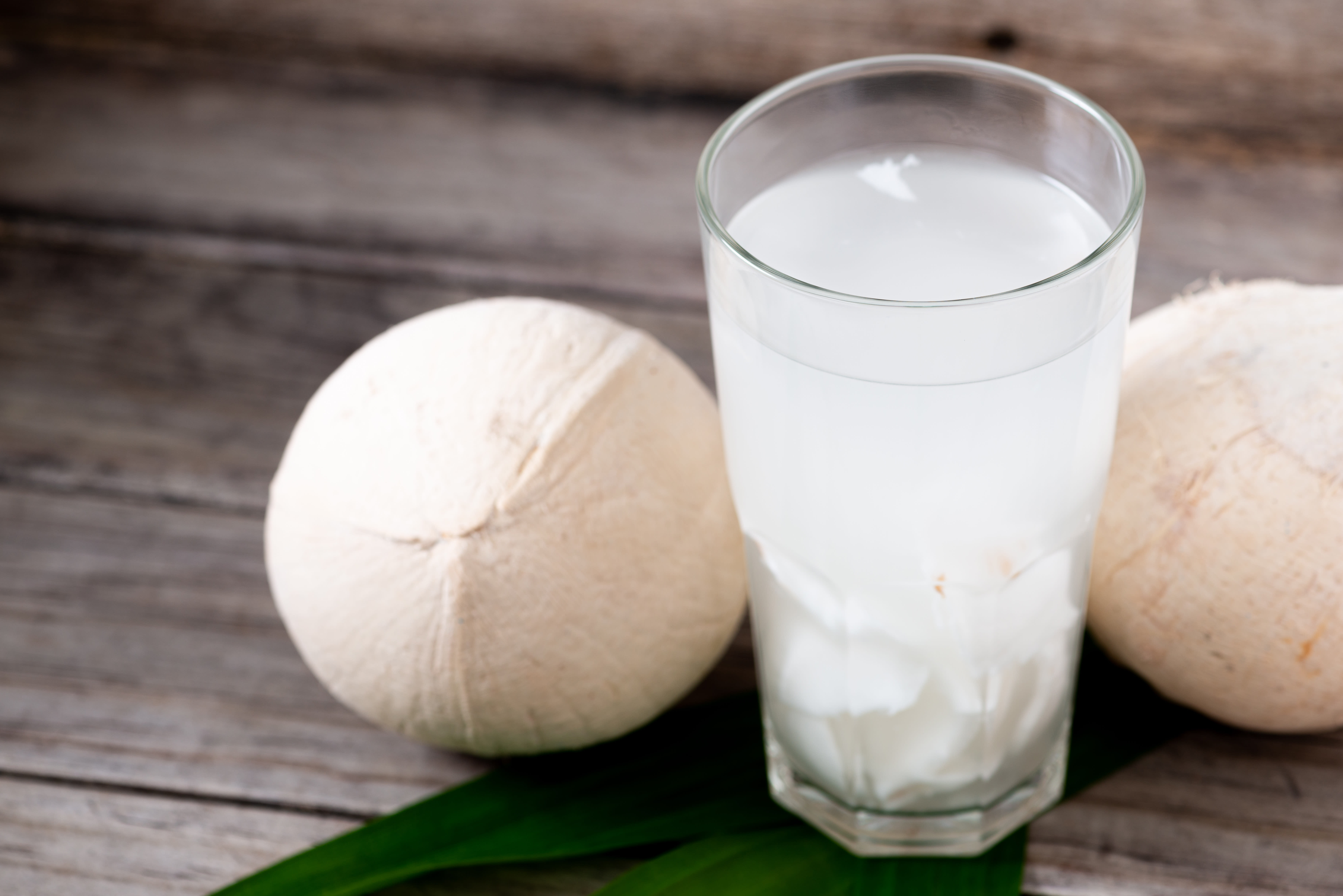 COCONUT JUICE BAR - Logo
