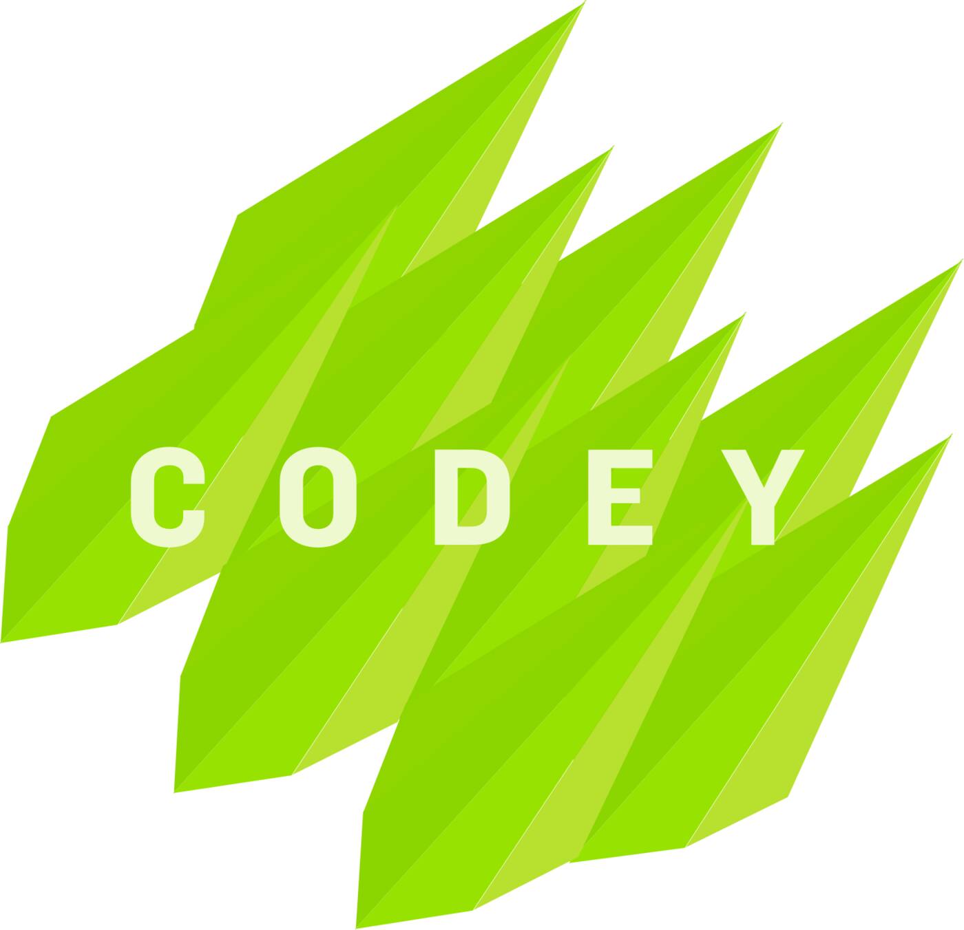 Codey - Cover photo