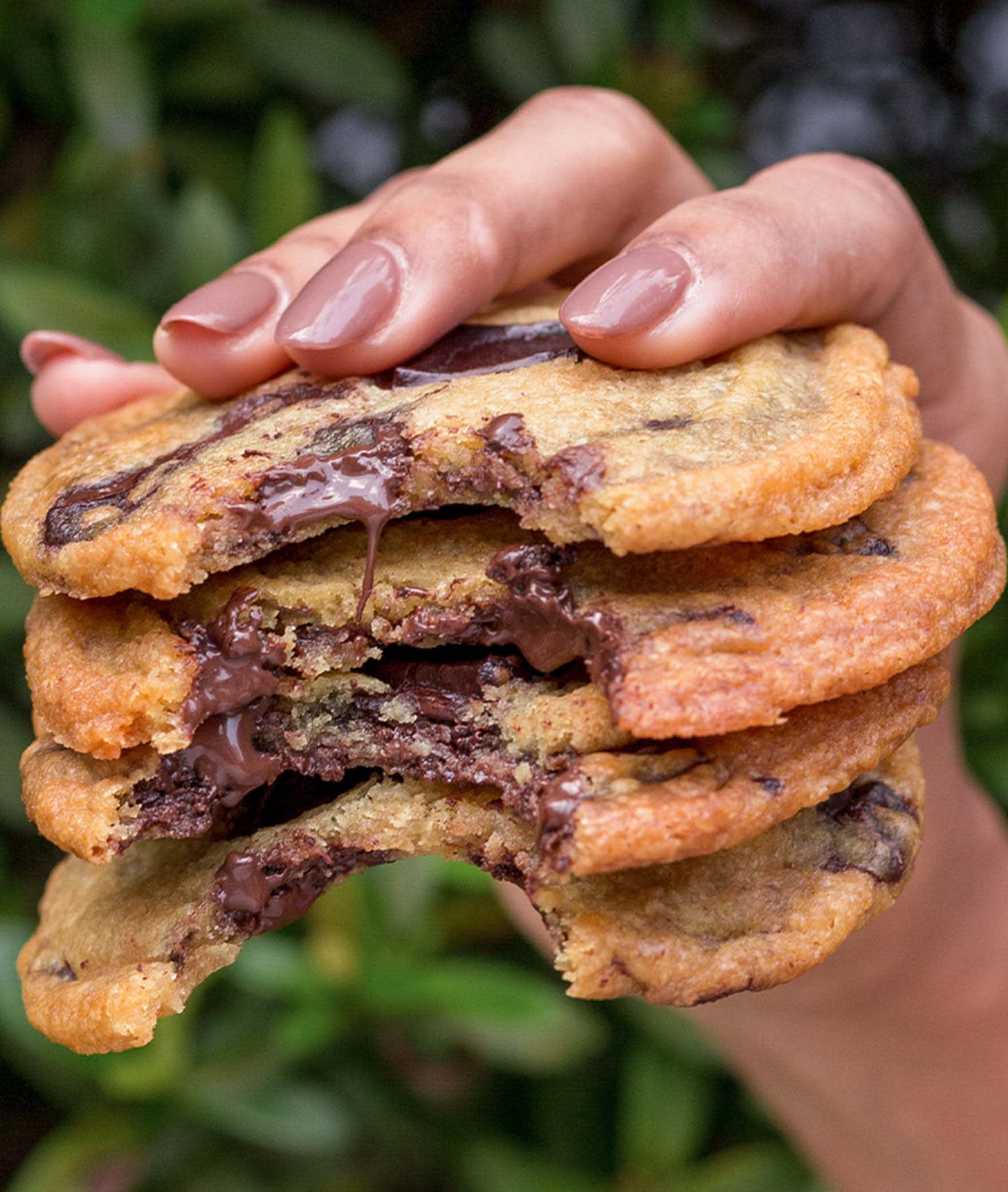 Coho Cookies - Logo