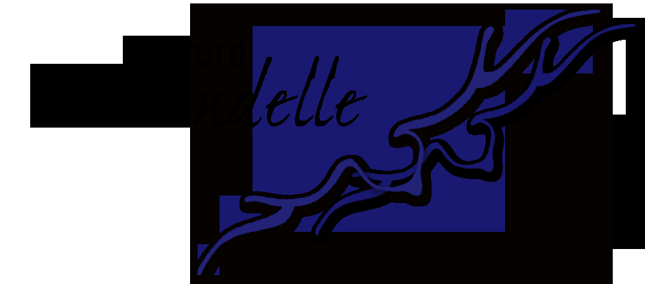 Coiffure L&s;Hirondelle - Logo