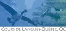 École Saint-Olivier - Logo