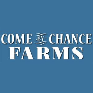 Come By Chance Farms and LegUp Equestrian - Logo