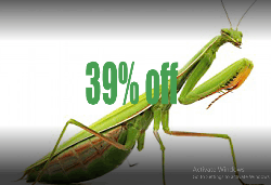 Commercial Pest Control Services - Logo