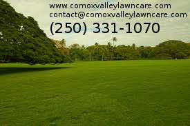 Comox Valley Lawncare - Logo