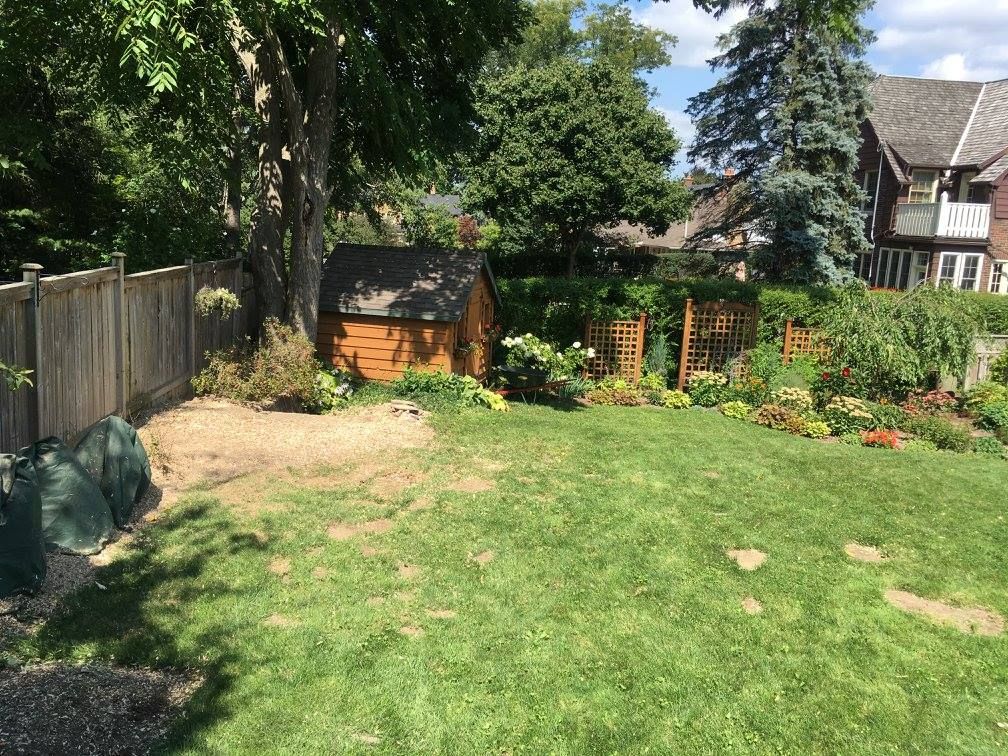 Complete Stump &a; Tree Removal Inc - Logo