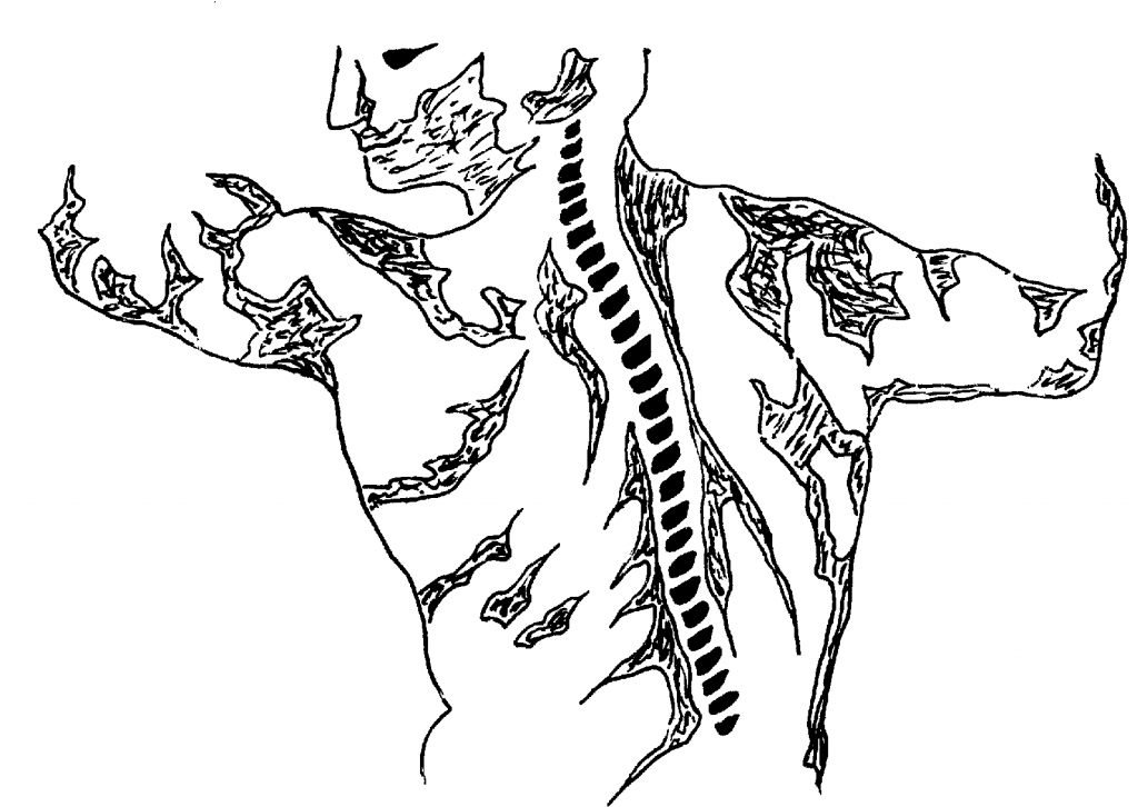 Complexe Chiropratique St-Maxime - Logo