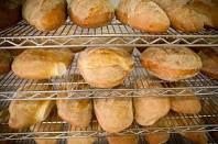 Comp Mendoza Bakery - Logo