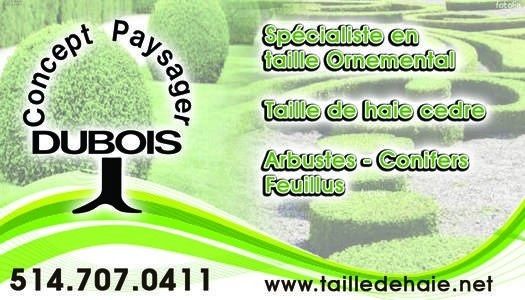 Concept Paysager Dubois - Logo