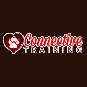 Connective Training - Logo