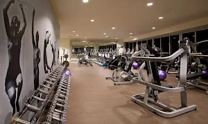 Contours Women's Fitness Studio Koramangala - Logo
