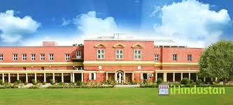 Convent of Jesus & Mary School - Logo