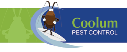 Coolum Pest Control - Logo