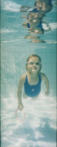 Coopers Swim School - Logo