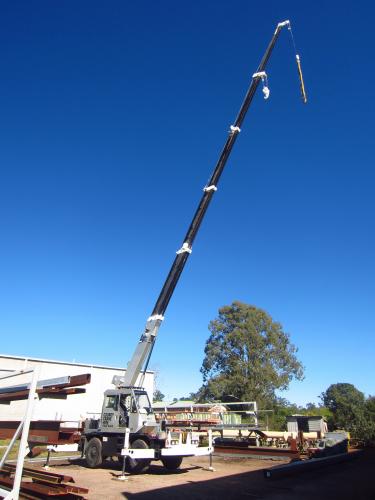 Cooroy Cranes - Logo