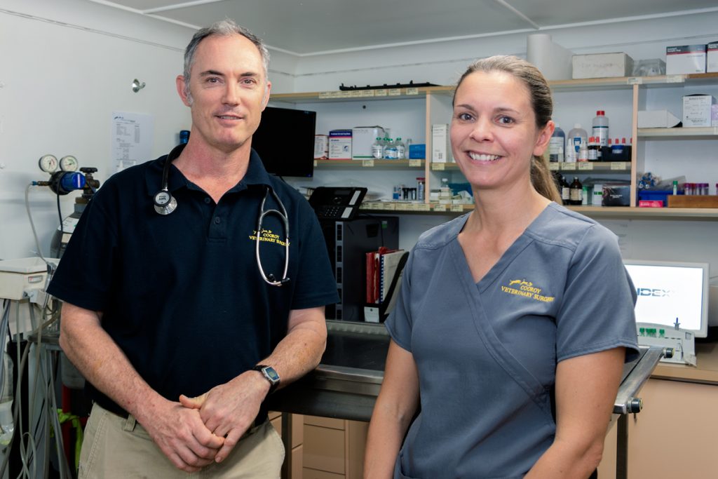 Cooroy Veterinary Surgery - Logo