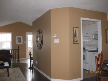 Coppelia Professional Painting - Logo
