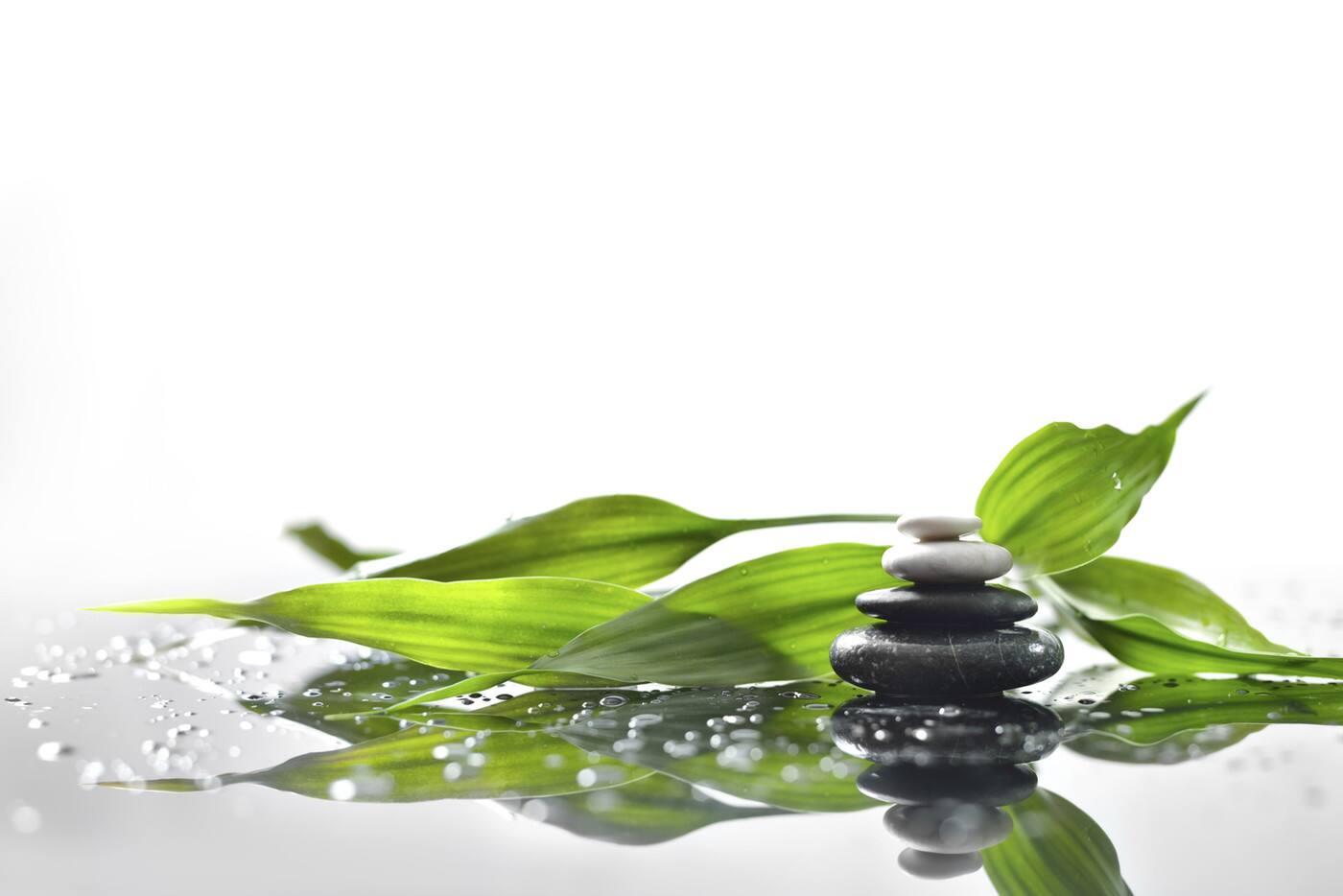 corporate meditation courses in Sydney - Logo