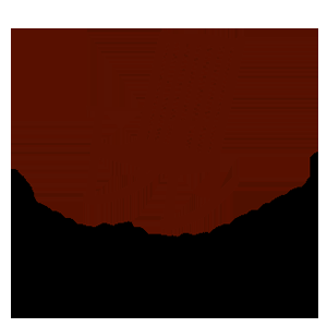 Country Pleasures Woodworking - Logo