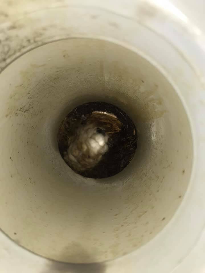 Country To Coast Plumbing - Cover photo