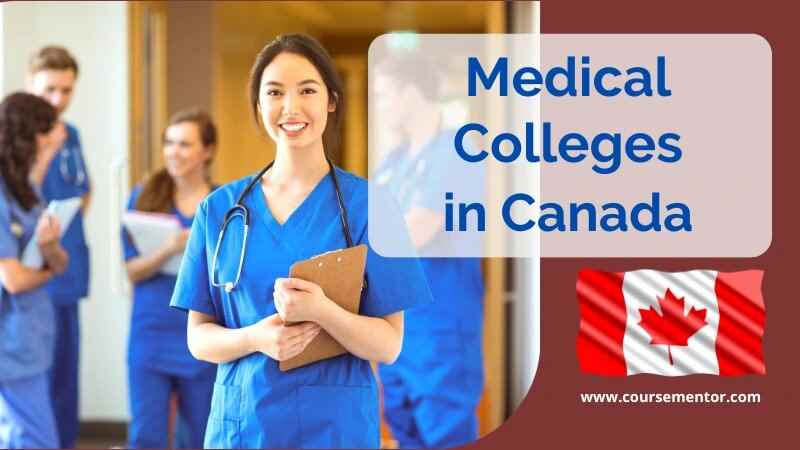 Coursementor - Cover photo