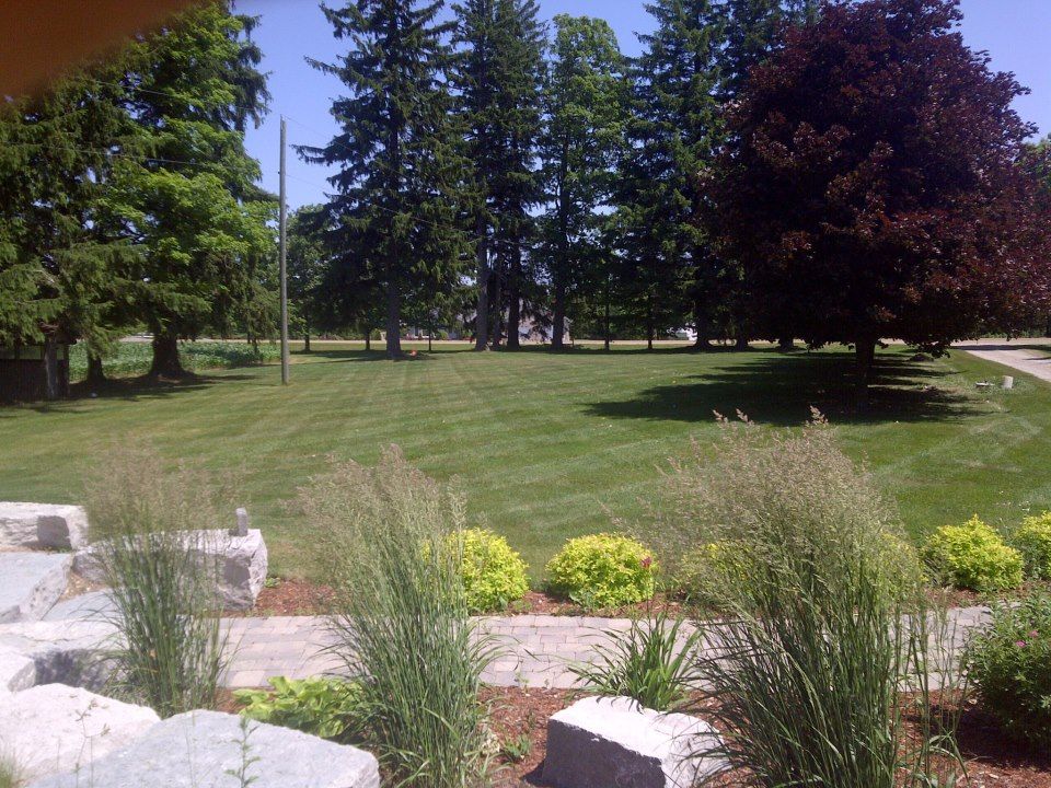 CP Landscaping and Contracting - Cover photo