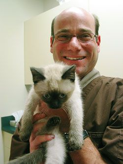 Cranbrook Veterinary Hospital - Logo