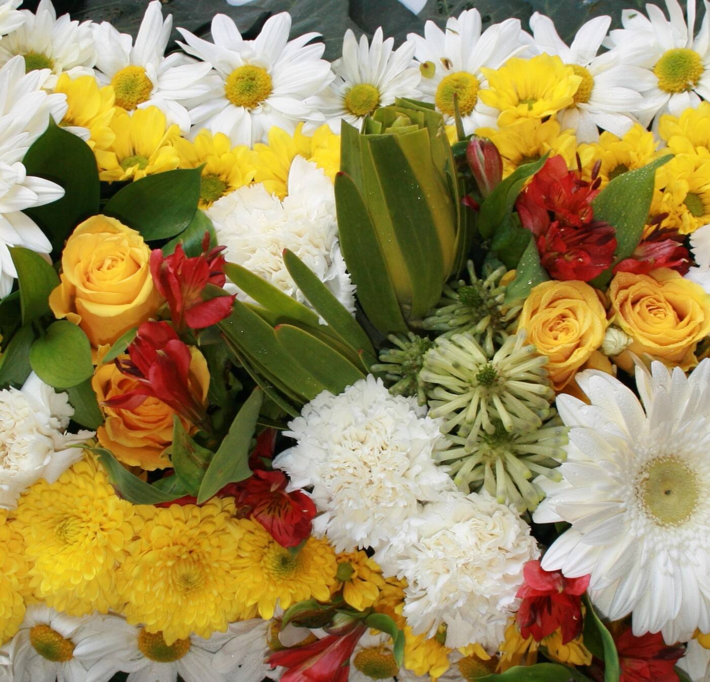 Creative Blooms - Perth Florist - Cover photo