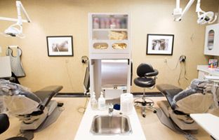 Crescent Heights Dental Clinic - Logo