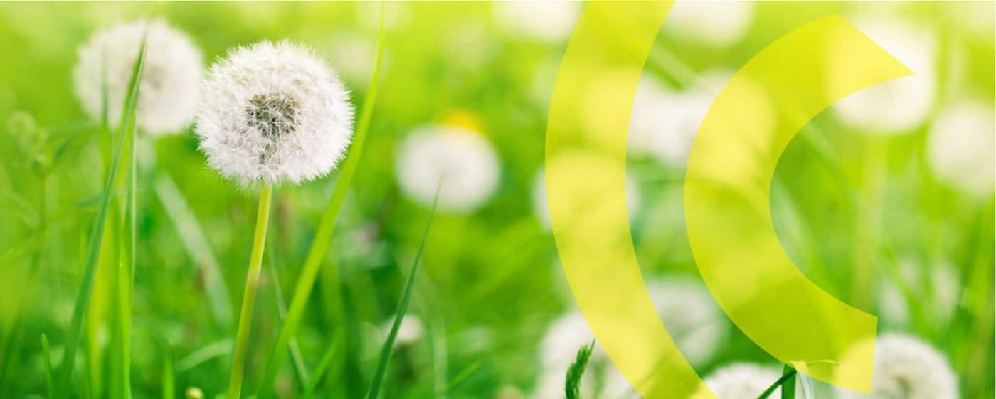 Crookes Counselling & Consulting Services - Cover photo