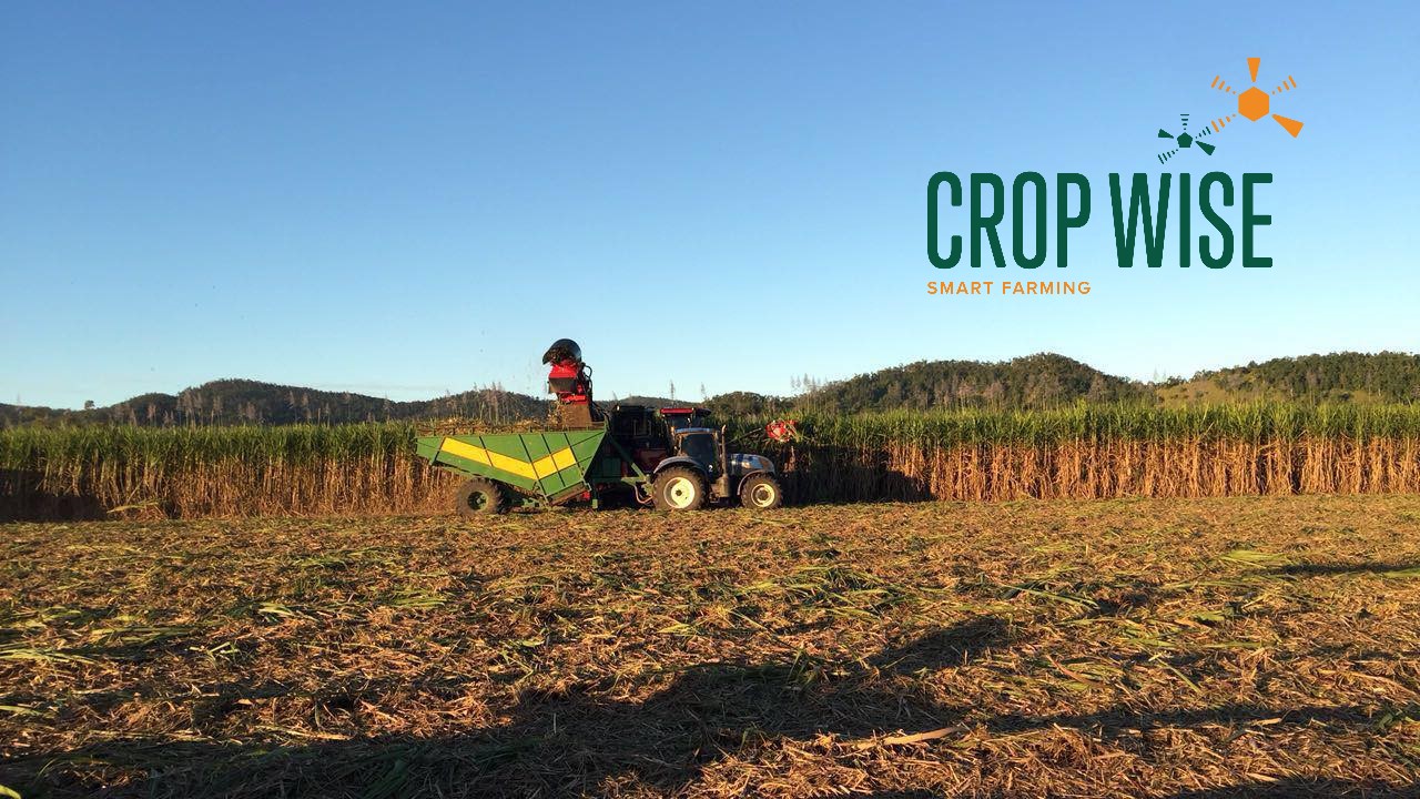 Crop Wise-Proserpine - Logo