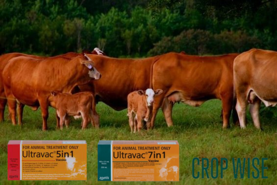 Crop Wise Pty Ltd - Cover photo