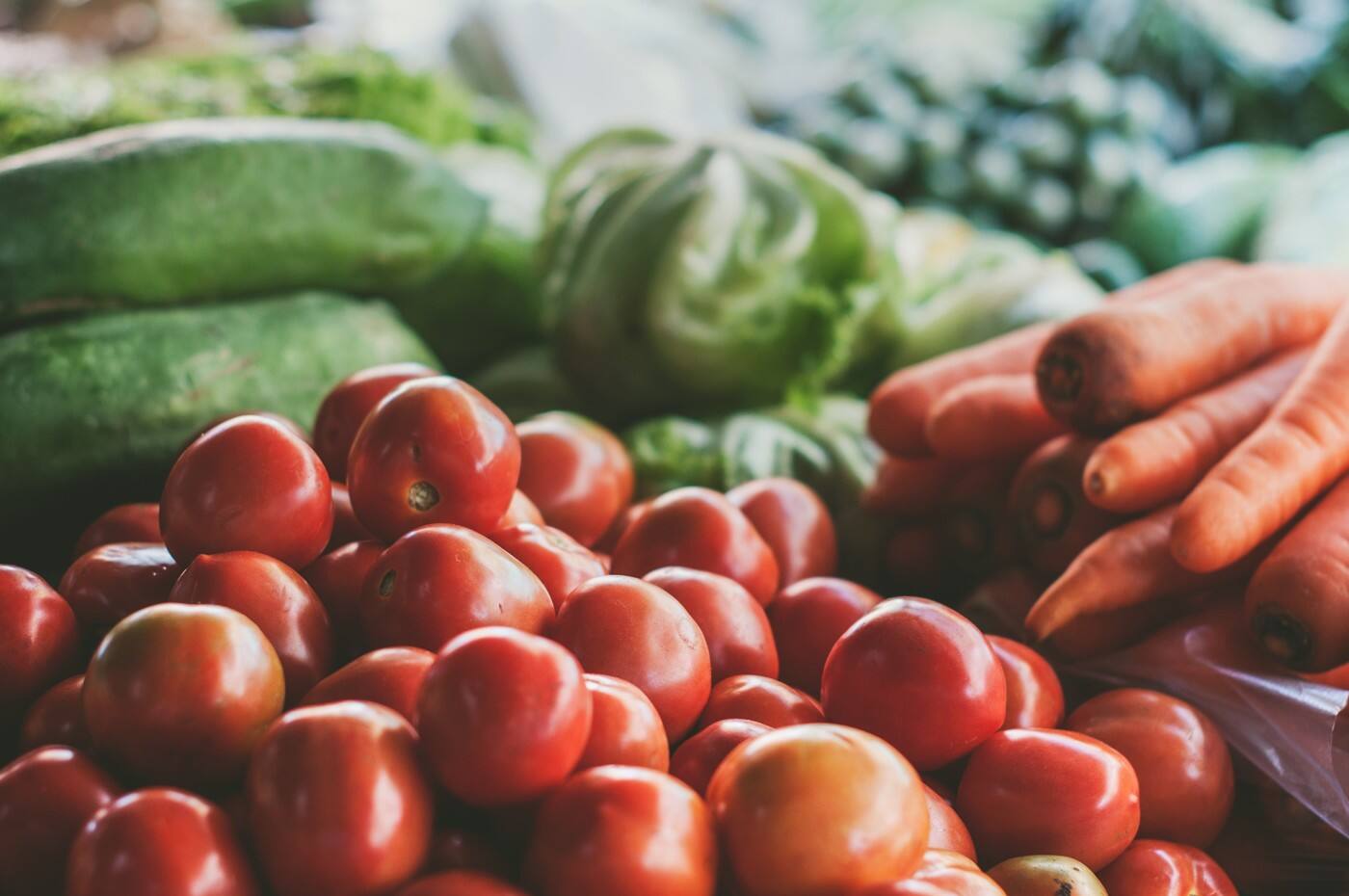 Cultured Nutrition - Cover photo
