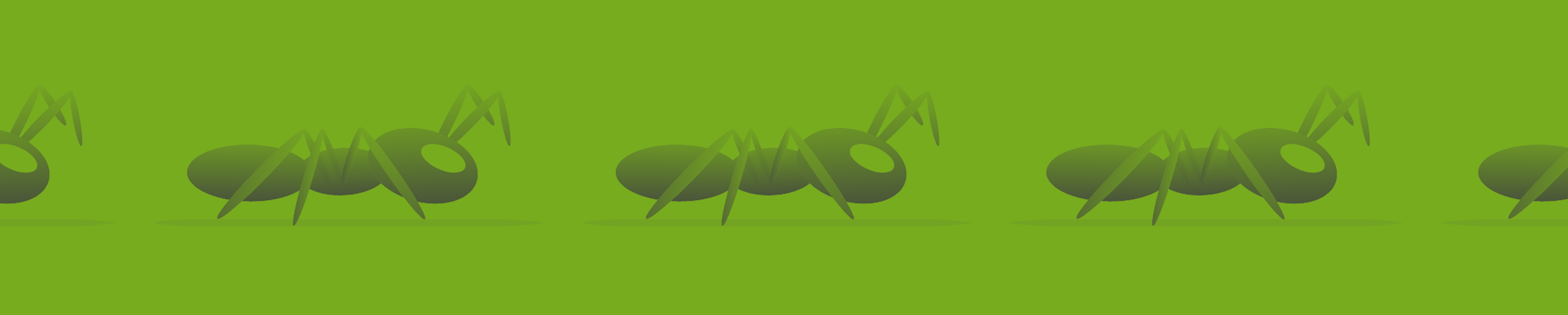 Custom Pest Solutions - Cover photo