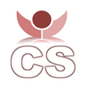 Custom Space Inc - Logo