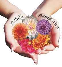 Dahlia Foundation - Cover photo