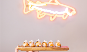 Daily Sushi - Logo