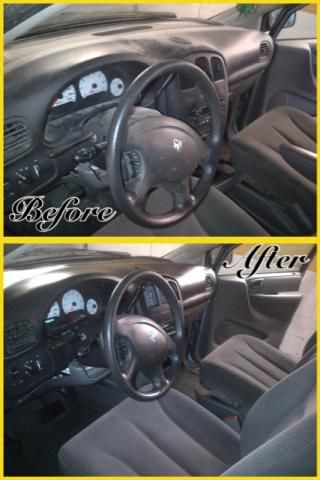 DaintyTouch Detailing Plus - Logo