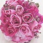 Daisy Maisy Flowers - Cover photo