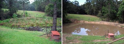 Dams Cleaned - Cover photo