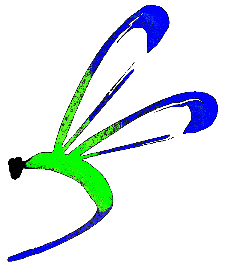 Damselfly Solutions Inc. - Logo