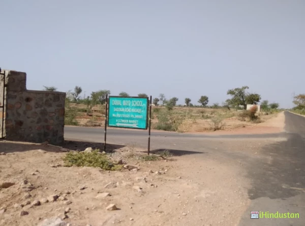 Danial Mayo School-Nagaur - Logo
