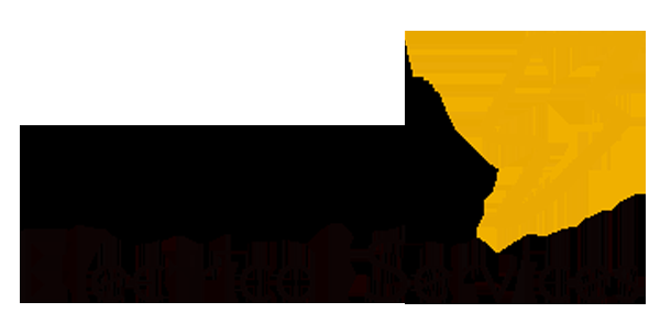 Danose Electrical Services - Logo