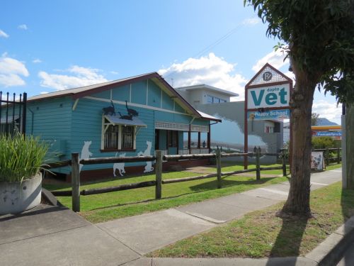 Dapto Veterinary Clinic - Logo